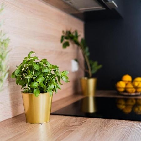 City Center - 3 Rooms - New Building - Private Parking Place - Garage Wroclaw Bagian luar foto